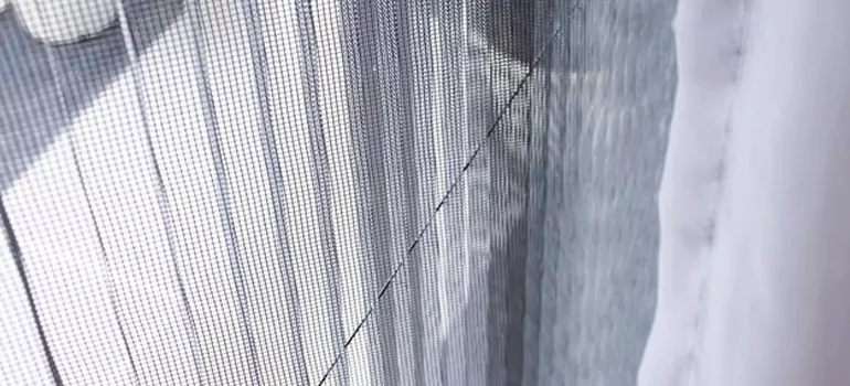 Fixing Screen Window Mesh in Danville, CA