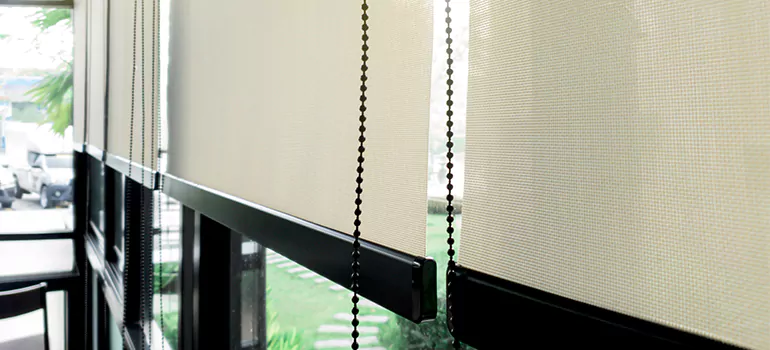Blackout Window Shades in Danville, CA