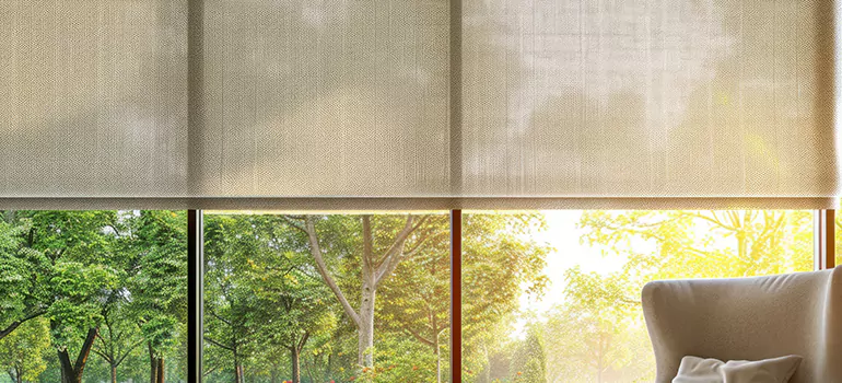 Custom Window Shades in Danville, CA
